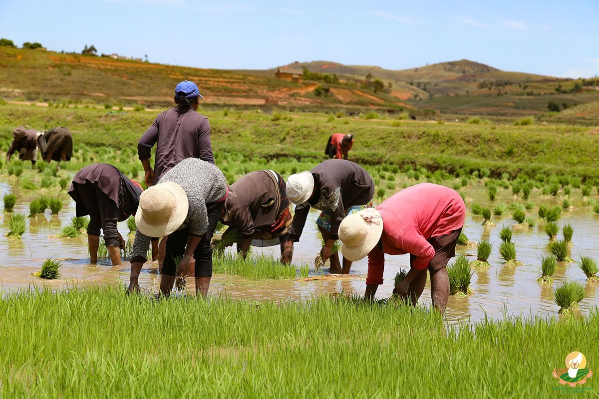 Agrobusiness