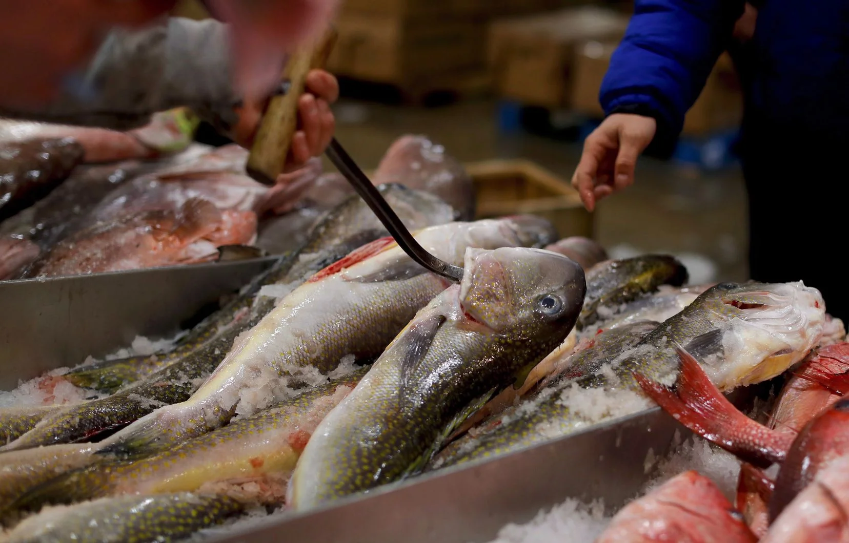 Produits de la mer